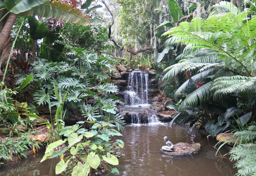 Marie Selby Botanical Gardens - The Blissful Gardeners